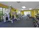 Well-equipped fitness center with modern weight machines and natural light at 1693 Landings Ln, Sarasota, FL 34231