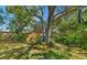 Lush backyard featuring mature trees and verdant tropical landscaping for a serene outdoor space at 2610 Jefferson Cir, Sarasota, FL 34239