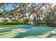 Outdoor basketball court provides recreational space for residents, surrounded by lush landscaping and mature trees at 3520 Woodmont Dr, Parrish, FL 34219