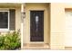 Close-up of the home's front door showcasing its elegant design and inviting entrance at 4221 3Rd W Ave, Palmetto, FL 34221