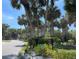 Charming community street with palm trees and manicured landscaping on a sunny day at 4944 Village Gardens Dr # 151, Sarasota, FL 34234