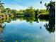 Beautiful view of the pond at 5061 Barrington Cir # 1302, Sarasota, FL 34234