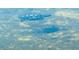 A turtle swims in a pond, creating ripples through the clear, reflective water at 5061 Barrington Cir # 1302, Sarasota, FL 34234