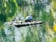 Close-up of a turtle sunning itself on a rock formation in a calm pond setting at 5061 Barrington Cir # 1302, Sarasota, FL 34234