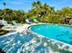 A tranquil swimming pool featuring lounge chairs surrounded by lush landscaping creating a private, relaxing oasis at 5061 Barrington Cir # 1302, Sarasota, FL 34234