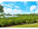 Scenic water view with lush green vegetation and clear blue sky, showcasing a serene and natural landscape at 611 Riviera Dunes Way # 107, Palmetto, FL 34221