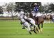 An exciting polo match featuring skilled players and horses in a dynamic action shot at 7278 Lismore Ct, Lakewood Ranch, FL 34202