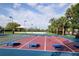 Multiple shuffleboard courts with red and blue accents surrounded by palm trees and seating at 9121 Stone Harbour Loop, Bradenton, FL 34212