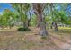 Lush, expansive yard with mature trees creating a serene, shaded landscape at 1240 Fox Creek Dr, Sarasota, FL 34240