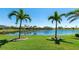 Lake view framed by palm trees enhancing the backyard's natural beauty and serenity at 20114 Uffizi Ct, Venice, FL 34293