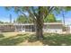 View of the home's backyard featuring a large tree providing shade and a serene outdoor setting at 218 80Th N Ave, St Petersburg, FL 33702