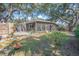 Expansive backyard showcasing the screened patio surrounded by lush greenery and mature trees at 3526 Austin St, Sarasota, FL 34231