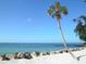 Scenic beach with white sand, clear blue water, and a palm tree, offering a tranquil coastal view at 3644 Pitch Ln, Sarasota, FL 34232