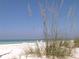 White sand beach with tall grass, clear water, and lounge chairs, perfect for relaxation at 3644 Pitch Ln, Sarasota, FL 34232