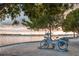 Relaxing scenic view featuring bicycles, trees, and a waterfront filled with sailboats, promoting an idyllic lifestyle at 3644 Pitch Ln, Sarasota, FL 34232