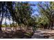 Peaceful walking path lined with mature trees, perfect for an evening stroll or a morning run at 3660 Lake Bayshore Dr # K-321, Bradenton, FL 34205