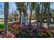 Inviting Sea Grape Inn sign surrounded by beautiful pink flowers and lush tropical landscaping at 5125 Gulf Of Mexico Dr # 4, Longboat Key, FL 34228