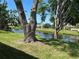 A picturesque backyard with mature trees and a scenic canal view, creating a peaceful oasis at 5810 42Nd E St, Bradenton, FL 34203
