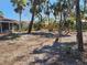 Backyard with mature palms near the screened porch provides a private tropical retreat at 670 Venice Ln, Sarasota, FL 34242