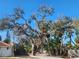 Large, mature trees provide shade and character to the property with partial view of the home at 670 Venice Ln, Sarasota, FL 34242