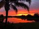 Beautiful view of the pond reflecting a bright red and pink sunset framed by a palm tree at 1017 Siberian Glen, Bradenton, FL 34212