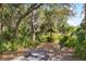 Lush backyard with mature trees, tropical plants, and stone pavers at 12103 Shadow Run Blvd, Riverview, FL 33569