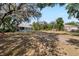 Expansive backyard featuring lush landscaping and mature trees providing ample shade, perfect for outdoor activities at 12103 Shadow Run Blvd, Riverview, FL 33569