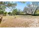 Expansive backyard with mature shade trees and a well-manicured lawn at 12103 Shadow Run Blvd, Riverview, FL 33569
