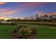 Lush backyard with landscaping and water view at sunset at 20892 Cattail Blvd, Venice, FL 34292