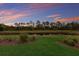 Serene view of the backyard with lush landscaping and a picturesque pond at 20892 Cattail Blvd, Venice, FL 34292