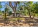 Backyard with mature trees and lush landscaping, providing shade and privacy for relaxation at 480 58Th St, Sarasota, FL 34243