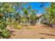 Lush backyard with vibrant foliage, offering a private outdoor space for relaxation and enjoyment at 480 58Th St, Sarasota, FL 34243