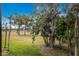 Spacious backyard featuring lush green grass, mature trees, and an expansive outdoor area, perfect for recreation and relaxation at 5729 Avista Dr, Sarasota, FL 34243