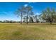 Open green space perfect for outdoor activities and recreation, with beautiful trees and a clear blue sky at 5729 Avista Dr, Sarasota, FL 34243
