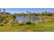 Picturesque pond surrounded by natural vegetation, creating a tranquil and scenic view from the property at 5833 Millennium Silver Ct, Sarasota, FL 34238
