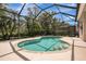 Screened pool with a sun shelf and brick coping surrounded by beautiful landscaping at 9818 Portside Ter, Bradenton, FL 34212
