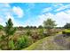 Scenic backyard featuring a tranquil pond and lush, natural landscaping under a beautiful sky at 11723 Cullen Park Ter, Bradenton, FL 34211