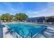 Outdoor swimming pool with a fence, palm trees, and lounge chairs at 204 46Th Avenue W Ter # 412, Bradenton, FL 34207