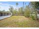 Large backyard with mature trees, a wood fence, and lush greenery; an outdoor haven for nature lovers at 2620 White Sands Dr, Sarasota, FL 34231