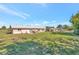 Expansive backyard with lush green grass and mature trees, perfect for outdoor activities and relaxation at 2916 Woodcrest Dr, Sarasota, FL 34239