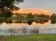 Beautiful pond reflecting a scenic sunset at 3736 82Nd Avenue E Cir # 104, Sarasota, FL 34243