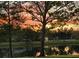 Scenic view of a pond reflecting the sky and trees at 3736 82Nd Avenue E Cir # 104, Sarasota, FL 34243
