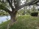 Scenic backyard view features a tranquil pond and a mature tree at 4538 Hamlets Grove Dr, Sarasota, FL 34235