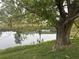 Mature tree on the lawn, view of the backyard pond at 4538 Hamlets Grove Dr, Sarasota, FL 34235