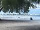 A picturesque beach view with tranquil waters and cityscape in the background, shaded by a tree at 845 Benjamin Franklin Dr # 104, Sarasota, FL 34236