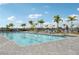 Community pool surrounded by palm trees, lounge chairs, and umbrellas, perfect for relaxation and outdoor enjoyment at 15104 Blue Bay Ter, Lakewood Ranch, FL 34211