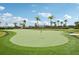 Scenic putting green area with palm trees and lush landscaping in the community at 15104 Blue Bay Ter, Lakewood Ranch, FL 34211