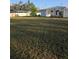 Large backyard with fresh grass and single-story home in the background at 1750 Gold Ave, Sarasota, FL 34235