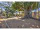 Large backyard featuring mature trees and plenty of space for outdoor activities and relaxation at 448 58Th St, Sarasota, FL 34243