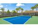 Outdoor pickleball court with vibrant colors and surrounded by palm trees for active recreation at 5416 Hope Sound Cir, Sarasota, FL 34238